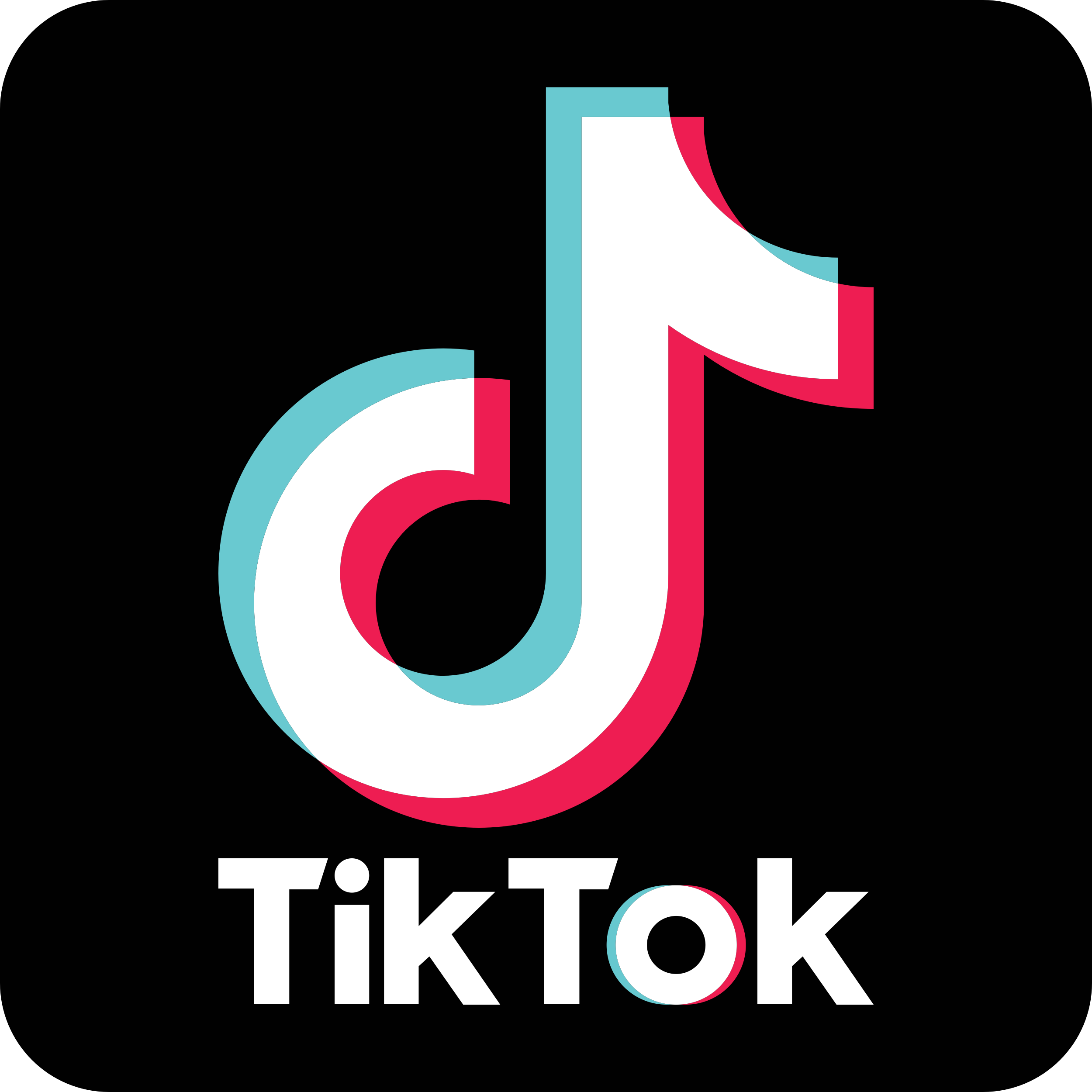 Tiktok Icon